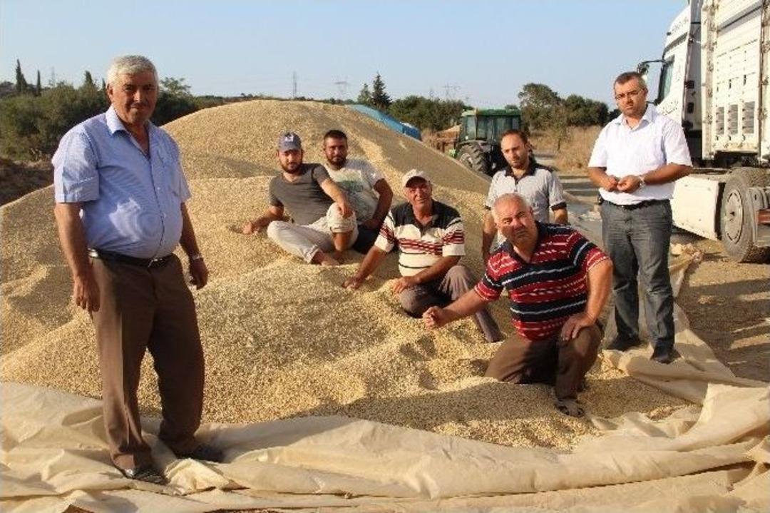 &Ccedil;eltik &Uuml;reticisi Kan Ağlıyor