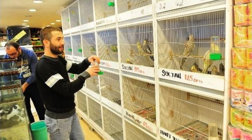 Pet Shop Sahiplerine Sertifika Eğitimi Zorunlu