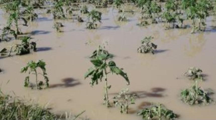 Zarar G&ouml;ren &Uuml;reticilere Bor&ccedil; Ertelemesi