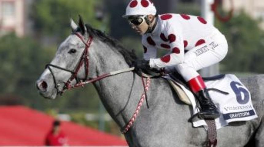 Ankara Koşusu&rsquo;nda G&ouml;zler Graystorm&rsquo;da