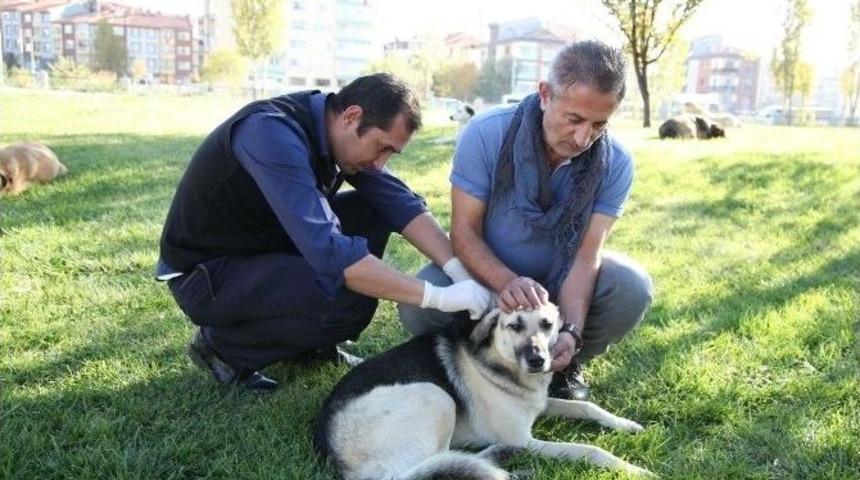 Odunpazarı Belediyesi İle Eskişehir B&uuml;y&uuml;kşehir Belediyesi Protokol İmzaladı