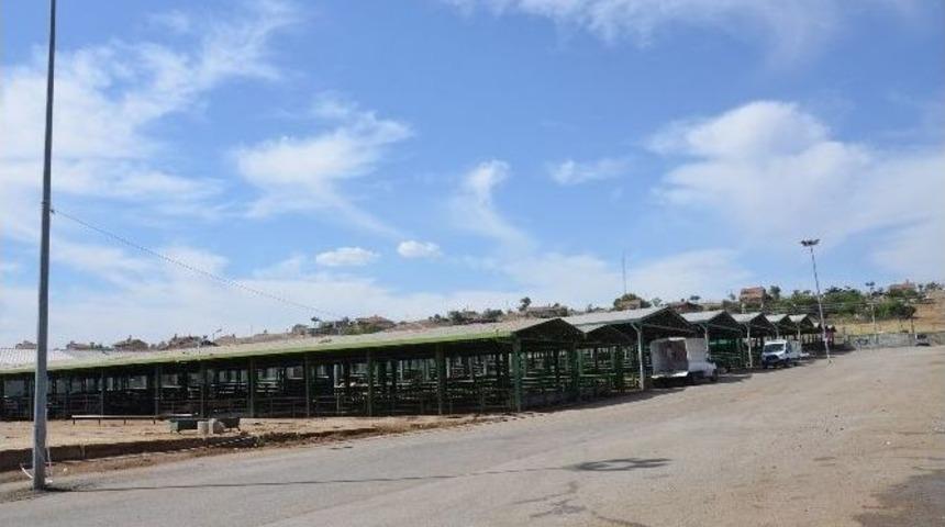 Bayramda En &Ccedil;ok K&uuml;&ccedil;&uuml;kbaş Kurbanlıklar İlgi G&ouml;rd&uuml;