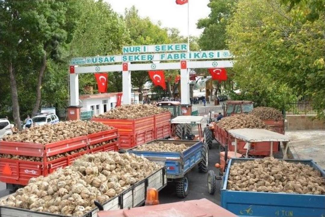 T&uuml;rkiye&rsquo;nin İlk Şeker Fabrikası 91. Pancar Alım Kampanyasını Başlattı