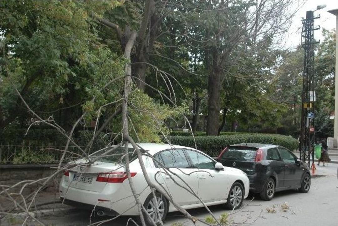Başkent&rsquo;te R&uuml;zgar &Ouml;n&uuml;ne Geleni Devirdi