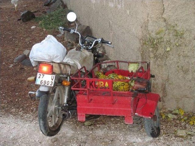 Araban’da Trafik Kazası: 2 Ölü