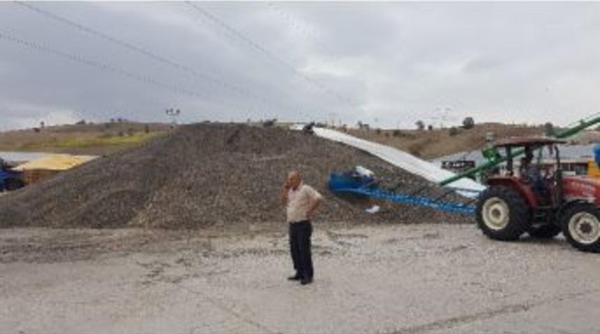 Havza&rsquo;da Ay&ccedil;i&ccedil;eği Alımları S&uuml;r&uuml;yor