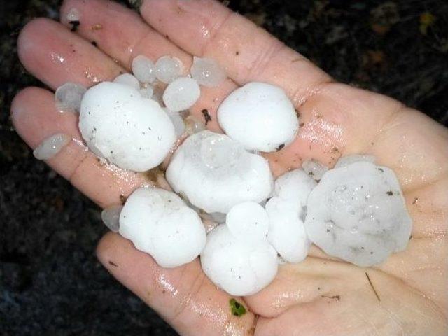 Samsun’da Cevizden Büyük Dolu Yağdı