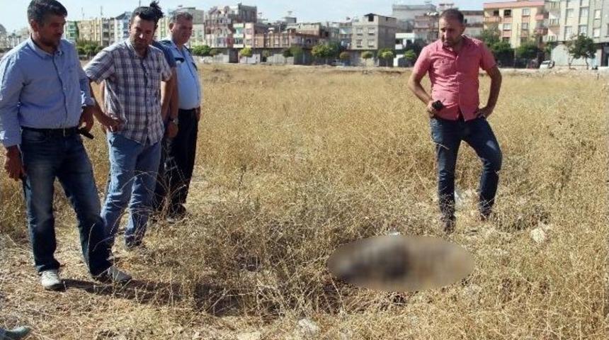 &Ccedil;&uuml;r&uuml;m&uuml;ş Erkek Cesedinin Kimliği Belirlendi