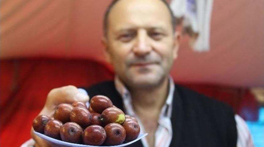 Şifa Kaynağı H&uuml;nnap Tezgahlardaki Yerini Aldı