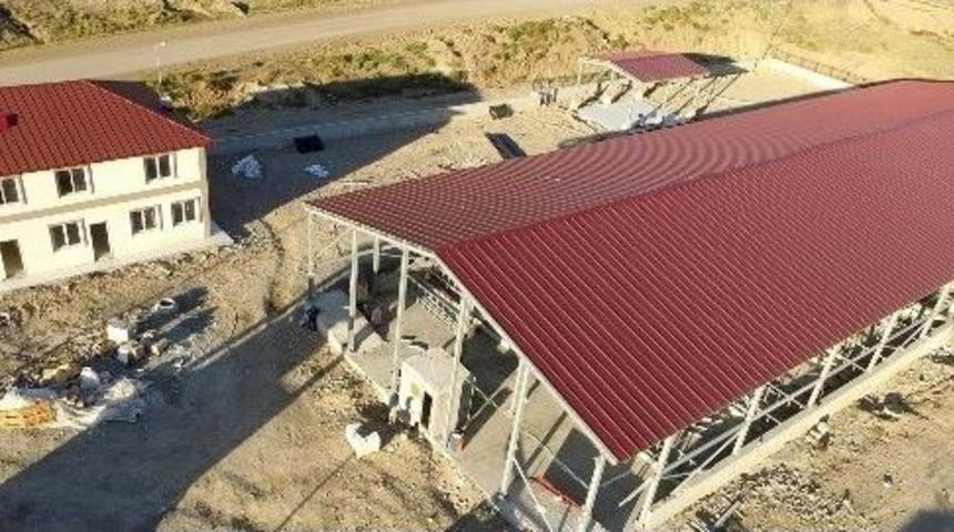 B&uuml;y&uuml;kşehir Oltu&rsquo;ya Canlı Hayvan Pazarı Yapıyor