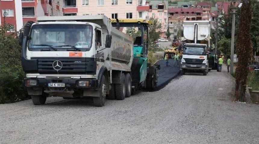 Altınordu&rsquo;da Asfalt Seferberliği S&uuml;r&uuml;yor