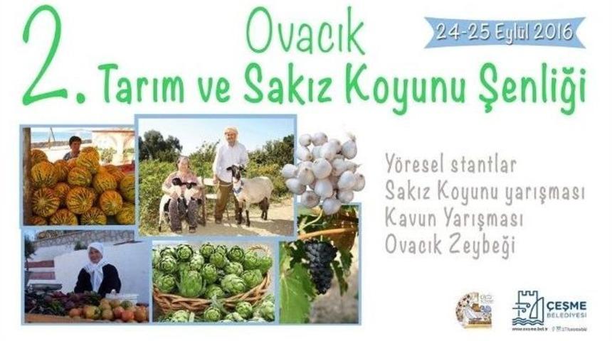 2. Ovacık Tarım Ve Sakız Koyunu Şenliği Başlıyor