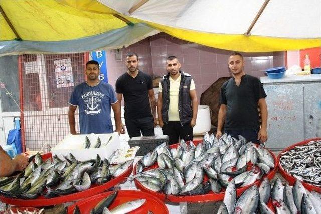 Ucuz Palamut Tezgahlarda Yerini Aldı