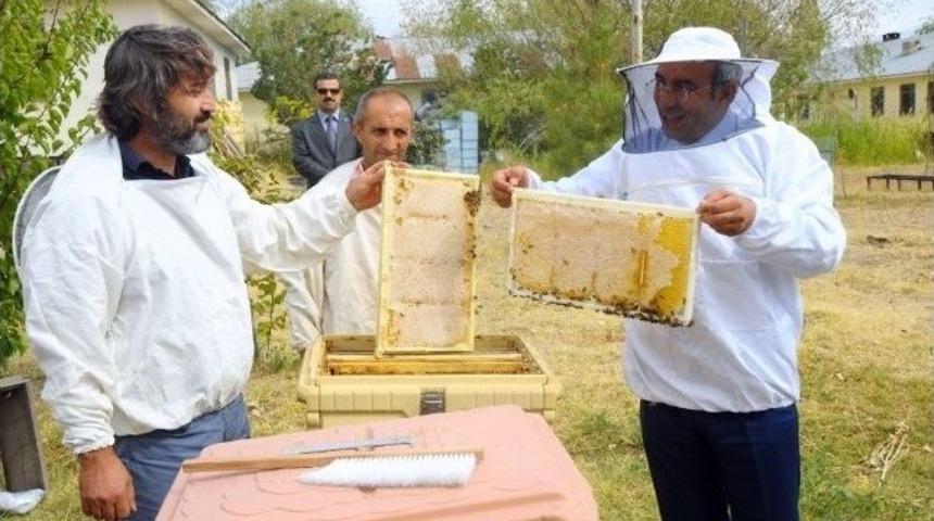 Yy&uuml; Kendi Balını &Uuml;retti