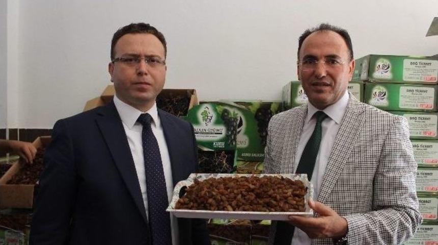 G&ouml;lbaşı İl&ccedil;esi Peygamber &Uuml;z&uuml;m&uuml; Yetiştiriciliğinde T&uuml;rkiye Birincisi