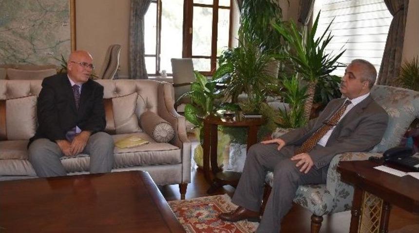 Gema Vakfı &lsquo;ağa&ccedil; M&uuml;zesi&rsquo; Kurmak İstiyor