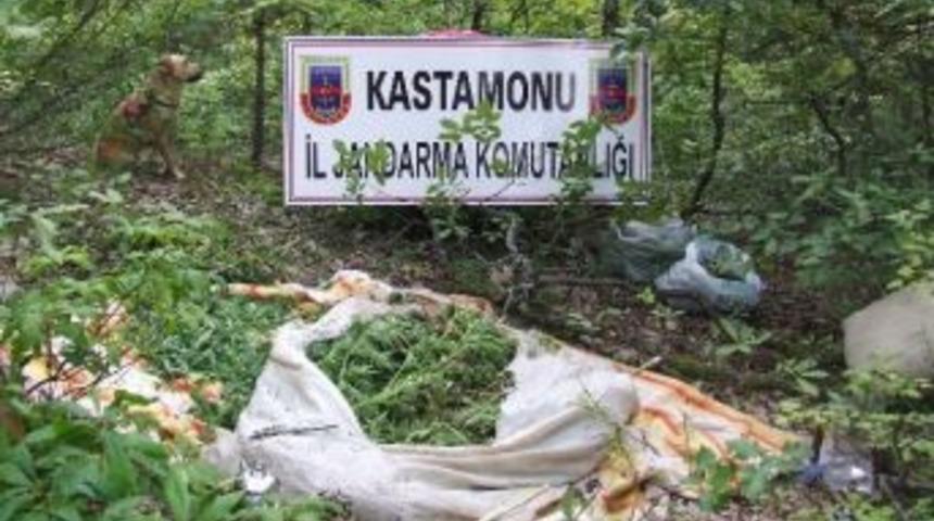 Kastamonu&rsquo;da 10 Kilogram Esrar Ele Ge&ccedil;irildi
