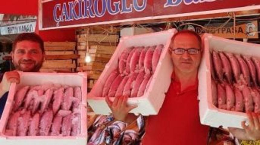 Bandırma&rsquo;da Palamudun Tanesi 5 Liraya D&uuml;şt&uuml;