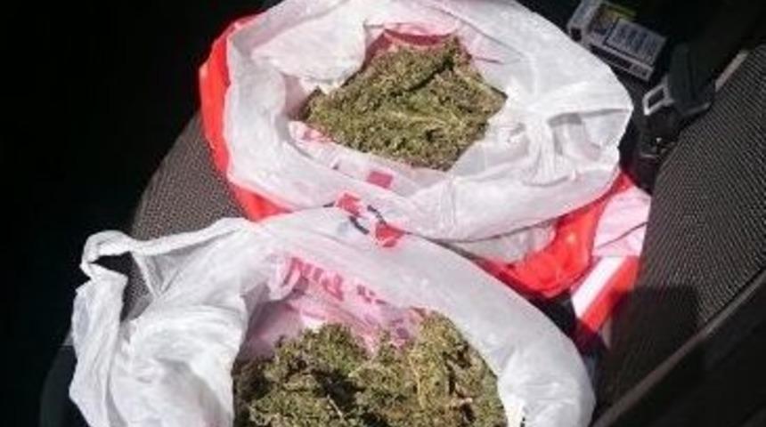 İzmir’de Esrar Operasyonu