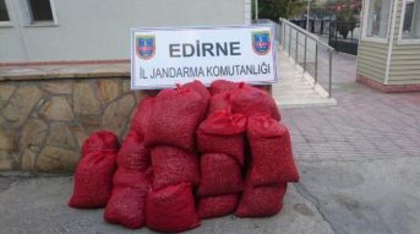 Edirne&rsquo;de 20 Bin Tl&rsquo;lik Ka&ccedil;ak Kum Midyesi Ele Ge&ccedil;irildi