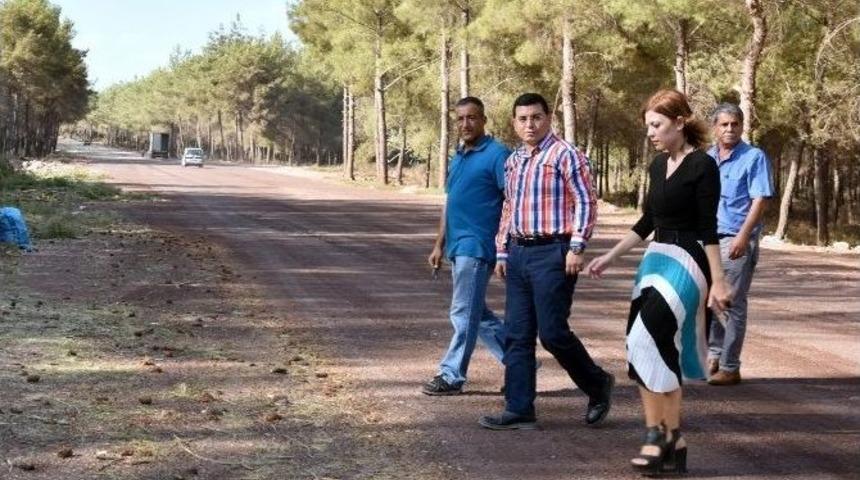 Kirişçiler Yolu Bulvar Haline Getiriliyor