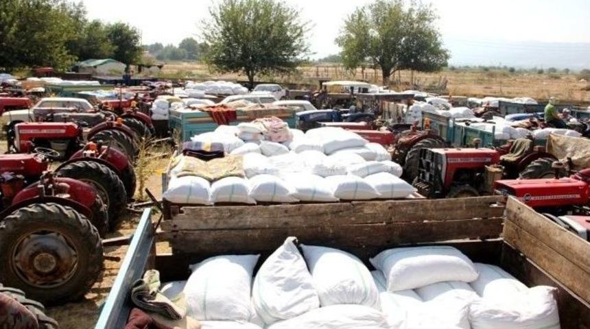 &Uuml;z&uuml;m &Uuml;reticileri Tariş &Ouml;n&uuml;nde Uzun Kuyruklar Oluşturdu