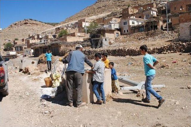 Dicle Elektrik Köy Şebekelerini Yeniliyor