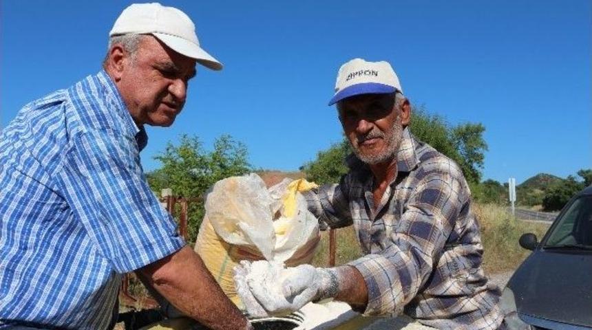 Kaoelin, İnşaat Ve Seramikten Sonra Tarımda Da Kullanılmaya Başlandı