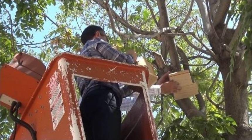 Gerg&uuml;ş&rsquo;te Kamu Binalarının Bah&ccedil;elerine Kuş Kafesleri Asıldı