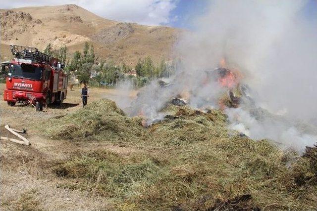 Başkale’de 50 Bin Bağ Ot Yandı