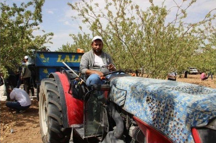 Şanlıurfa’da İlk Kez Badem Hasadı Günü Etkinliği Düzenlendi G3