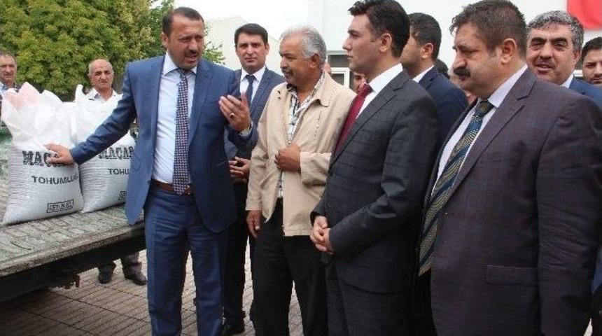 Elazığ’da 300 Çiftçiye Yem Bitkisi Tohumu Dağıtıldı