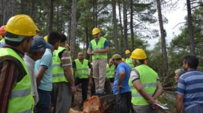 Orman B&ouml;lge M&uuml;d&uuml;rl&uuml;ğ&uuml;, Aladağ&rsquo;da &lsquo;&uuml;retim Tatbikatı&rsquo; Yaptı