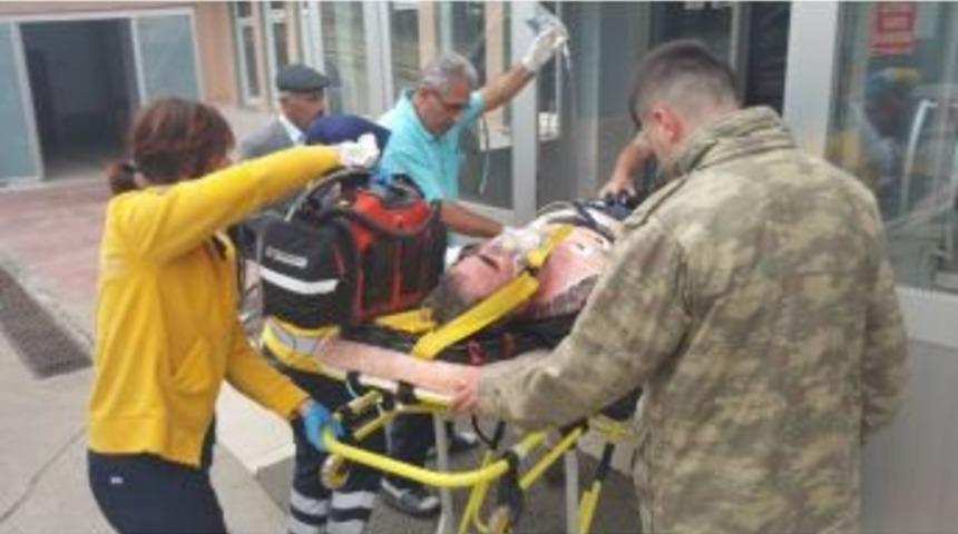 Ağa&ccedil; Budarken Y&uuml;ksek Gerilime Kapıldı