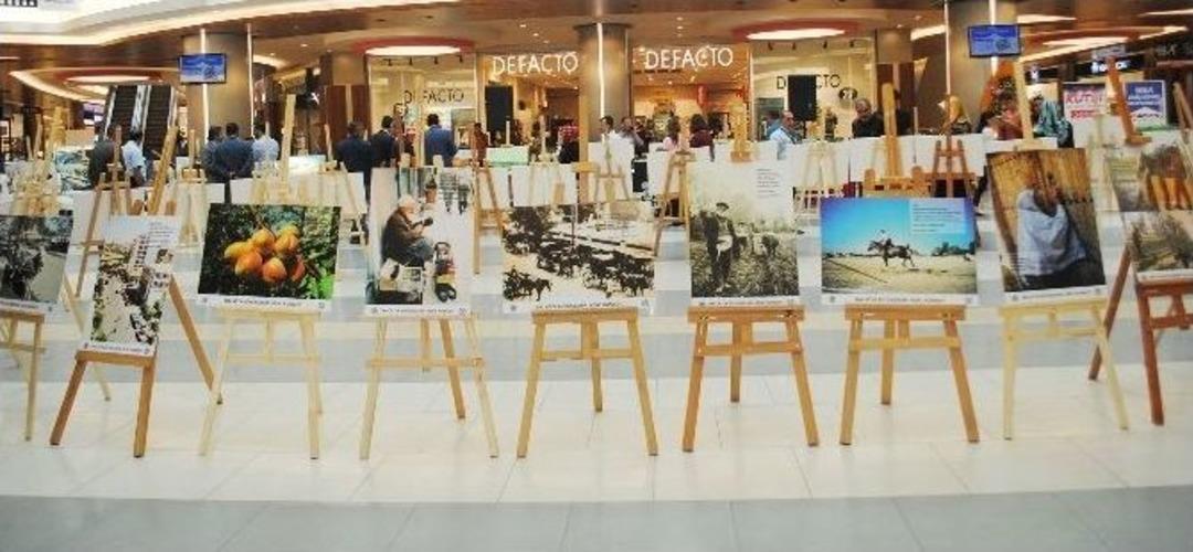 B&uuml;y&uuml;kşehir Kent Konseyinden &lsquo;şiirli Fotoğraf&rsquo; Sergisi