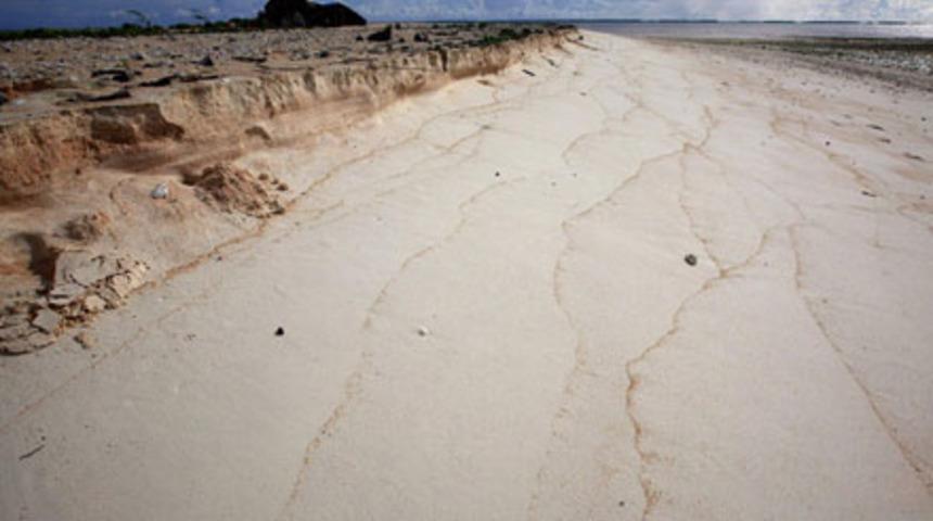 İnsanın kanını donduran olay!