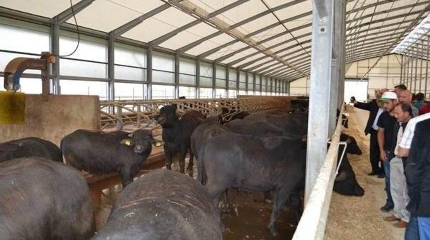 &lsquo;mandalar Mutlu &Ccedil;ift&ccedil;iler Umutlu&rsquo; Projesi