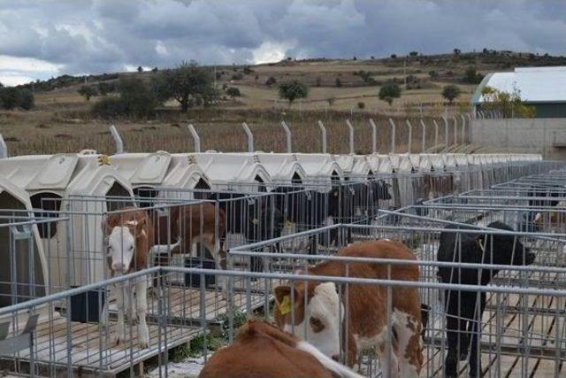 ‘mandalar Mutlu Çiftçiler Umutlu’ Projesi