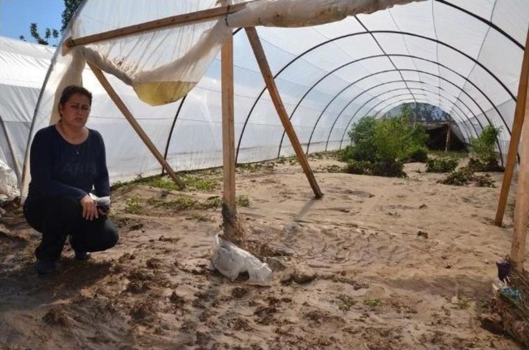 T&uuml;m Emekleri Sele Kapılan Berna Ece Evciler S&ouml;ğ&uuml;t&ccedil;&uuml;k Deresi&rsquo;nin Islahını İstedi