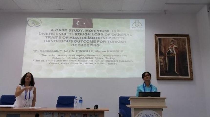 Dagem&rsquo;in &Ccedil;alışmalarına Uluslararası İlgi