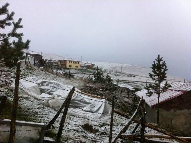 Giresun’un Yüksek Kesimlerine Mevsimin İlk Karı Düştü