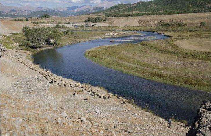 Çobanların Zorlu Gece Mesaisi G2