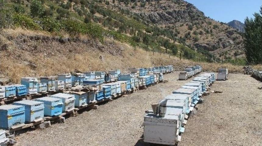 Beyt&uuml;şşebaplı Arıcılar Kuş N&ouml;betinde