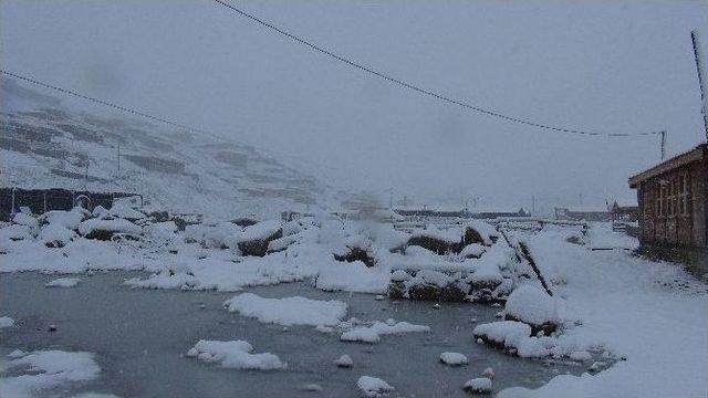 Rize’de Yılın İlk Karı