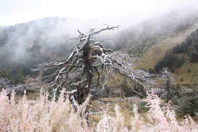 Kartalkaya’ya Sezonun İlk Karı Yağdı