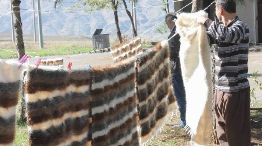 Siirt Battaniyesi K&uuml;llerinden Doğdu