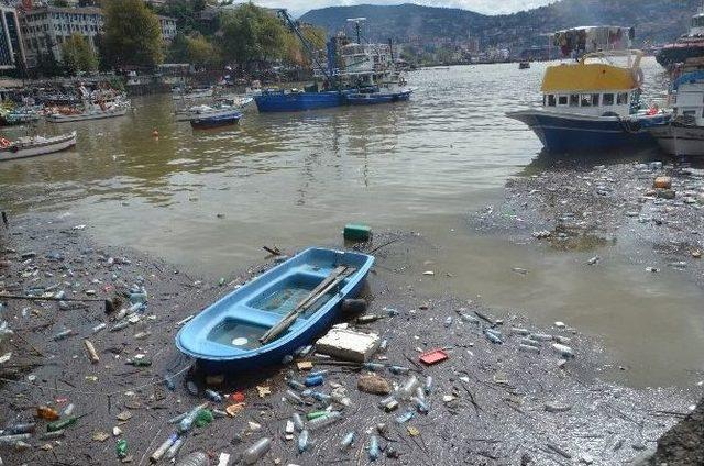 Şiddetli Yağış Sonrası Liman Çöple Doldu