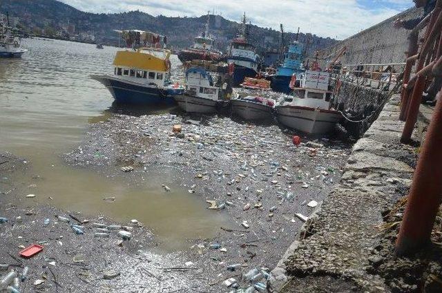 Şiddetli Yağış Sonrası Liman Çöple Doldu