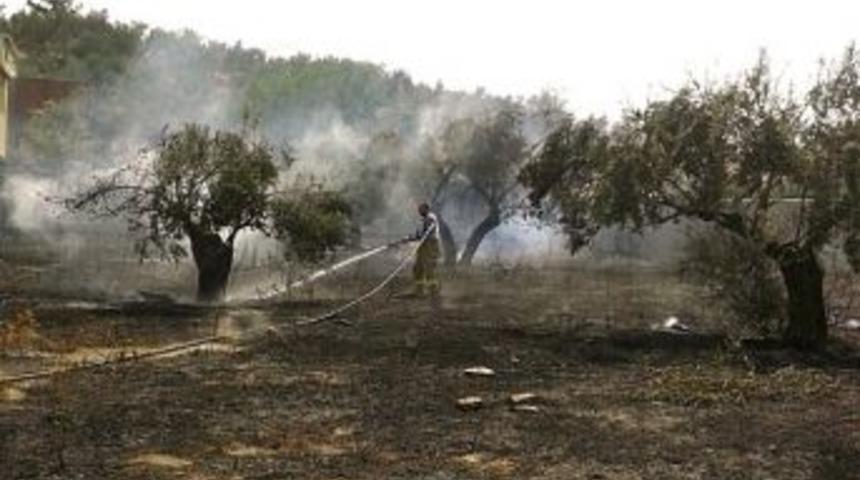 Edremit&rsquo;te Zeytinlik Yangını