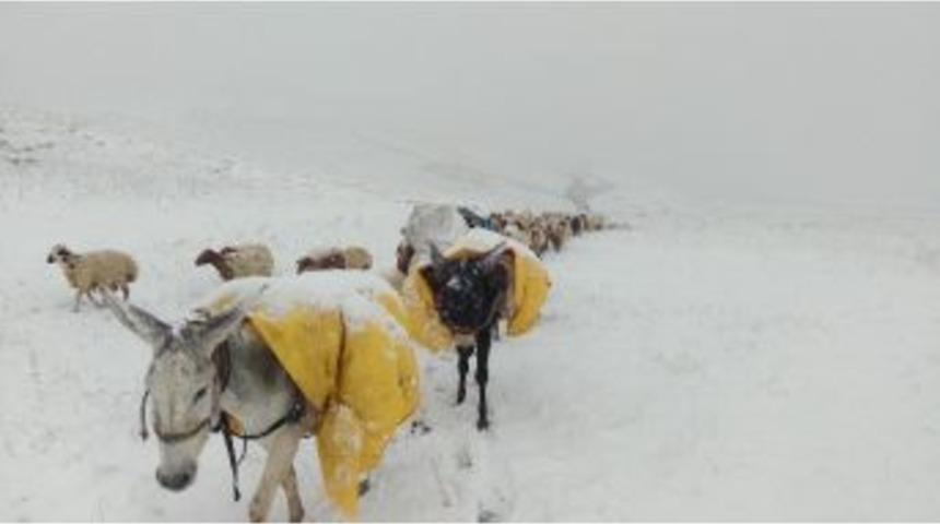 Kar Yağışı Peynir Üreticilerini Mağdur Etti
